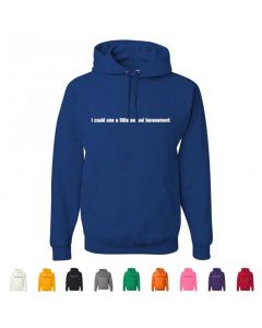 I Could Use A Little Sexual Harassment Graphic Hoody